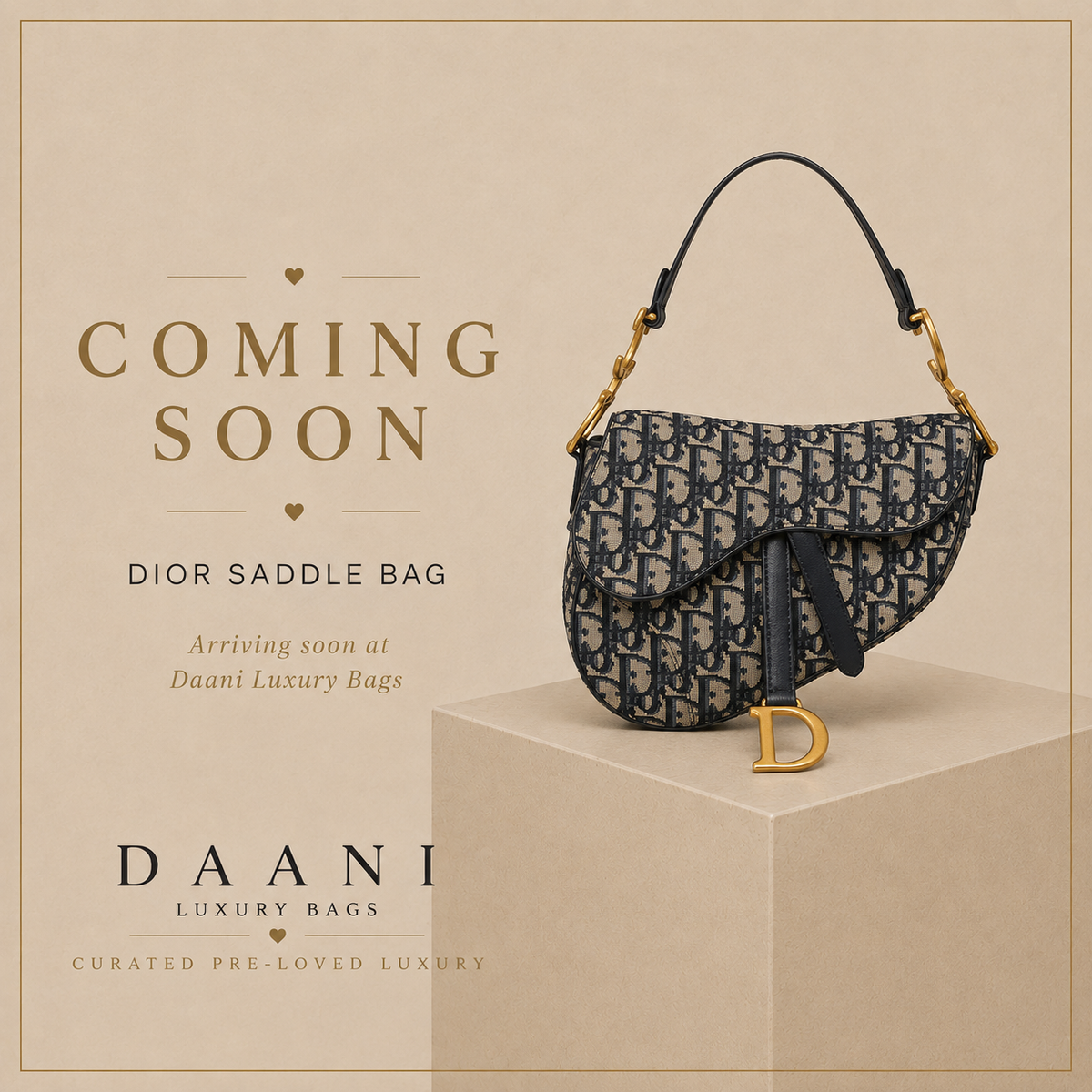 Dior Saddle Wallet